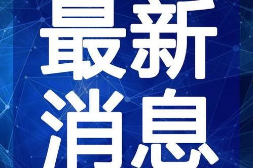 海南老赖爆料视频最新,视频揭露惊人事实，社会诚信危机引关注