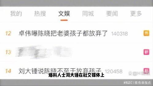 刘大锤爆料国外女星视频,国外女星私密视频事件引发热议